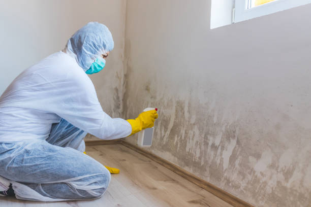 Licensed Mold Inspection service in Round Rock, TX - WQB Mold Removal