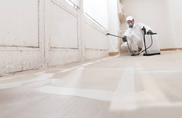 24/7 Emergency Mold Inspection experts in Round Rock, TX