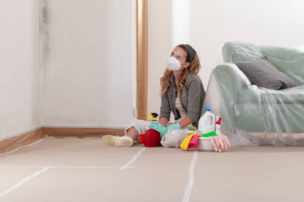 Reliable Mold Inspection contractor in Round Rock, TX by WQB Mold Removal